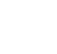 Erstellung und Programmierung Website