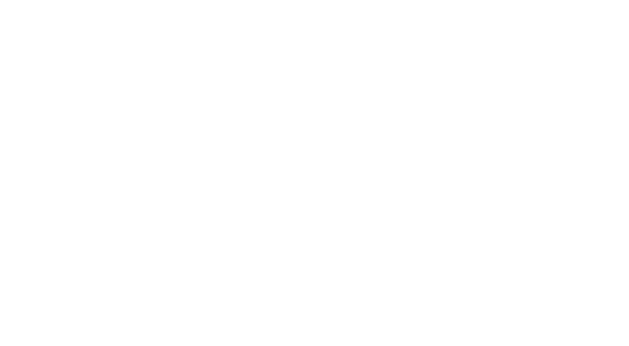 Grünes Internet von WVNET